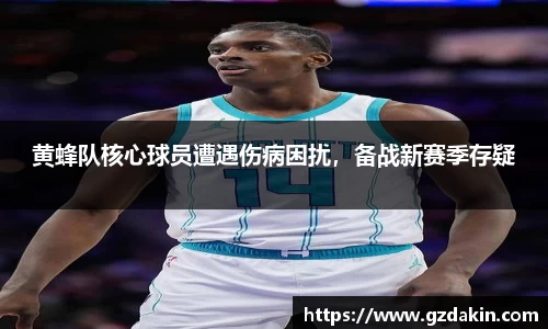 黄蜂队核心球员遭遇伤病困扰，备战新赛季存疑